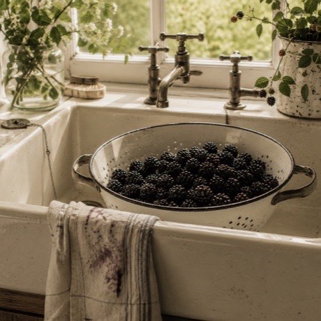 An enamel colander of blackberries resting in a farmhouse sink by a sunlit window