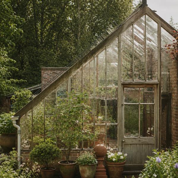 A weathered Victorian glasshouse in a summer garden, terracotta pots at its door